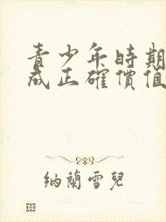 青少年时期是养成正确价值观的关键时期