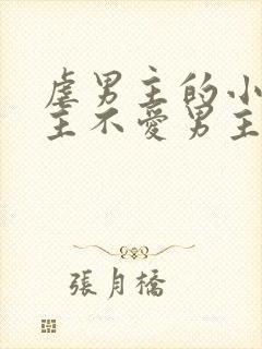 虐男主的小说女主不爱男主