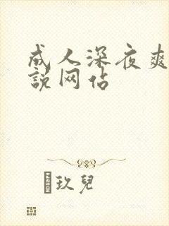 成人深夜爽文小说网站