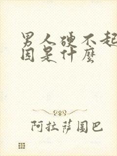 男人硬不起的原因是什么