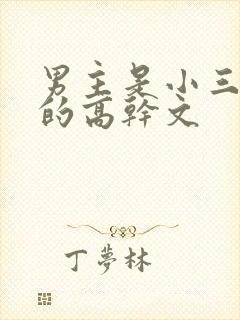 男主是小三上位的高干文