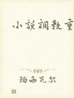 小说调教重口