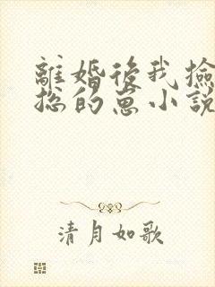 离婚后我捡走霸总的崽小说无弹窗