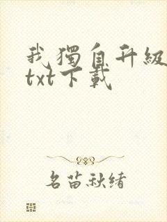 我独自升级原著txt下载