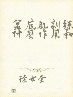 盆底肌训练器有什么作用和功效