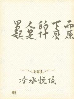 男人的下面硬不起是什么原因