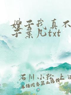 嫂子我真不是傻子叶凡txt