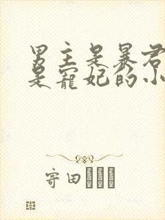 男主是暴君女主是宠妃的小说