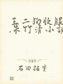 王二狗收服小舞,朱竹清小说