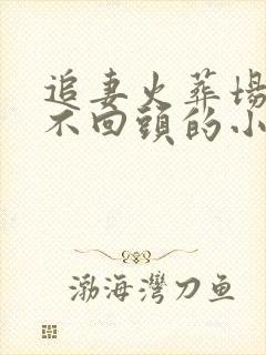 追妻火葬场女主不回头的小说