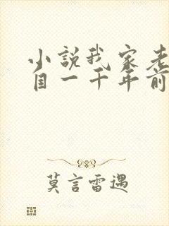 小说我家老婆来自一千年前大结局