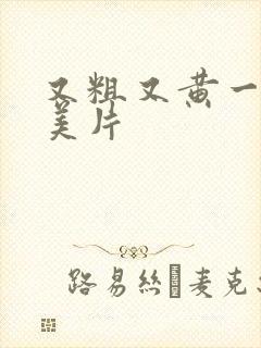 又粗又黄一级欧美片