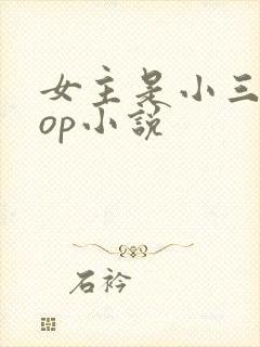 女主是小三的pop小说