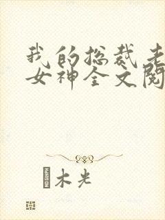 我的总裁老婆是女神全文阅读