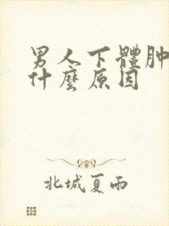 男人下体肿了是什么原因