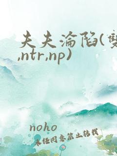 夫夫沦陷(双性,ntr,np)
