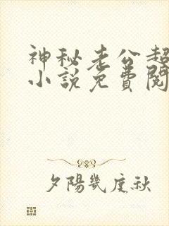 神秘老公超级甜小说免费阅读全文