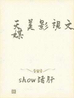 天美影视文化传媒