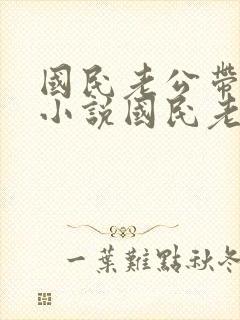 国民老公带回家小说国民老公带回家