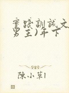 实践训诫文(双男主)年下