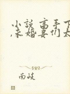 小说 高手下山,未婚妻们太妖娆