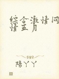 综合激情网,激情五月