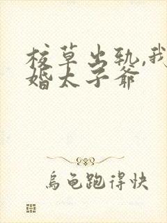 校草出轨,我闪婚太子爷