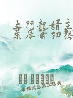 上门龙婿主人公叶辰萧初然