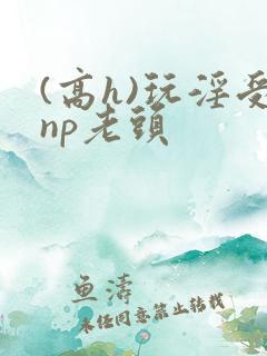 (高h)玩淫受np老头
