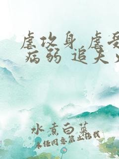 虐攻身 虐受心 病弱 追夫火葬场