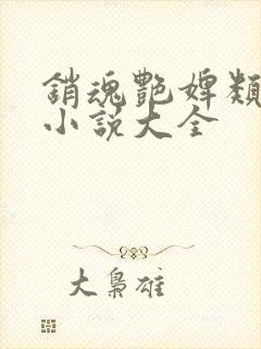 销魂艳婢类似的小说大全