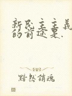 新民主主义革命的前途是.