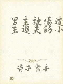 男主被伤透心女主追夫的小说推荐