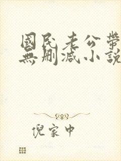 国民老公带回家无删减小说