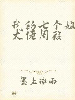 我的七个姐姐是大佬周毅