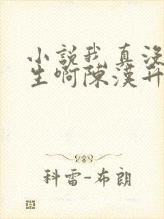 小说我真没想重生啊陈汉升