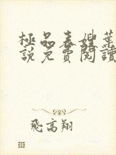 极品表嫂叶阳小说免费阅读