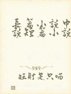 长篇小说中篇小说短篇小说字数