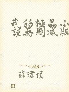 我的极品小姨小说无删减版