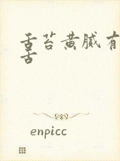 舌苔黄腻有齿痕舌