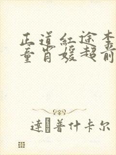 正道红途李初年童肖媛超前更新