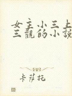 女主小三上位无三观的小说