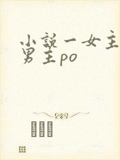 小说一女主多个男主po