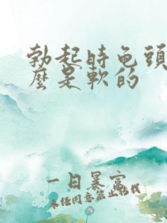 勃起时龟头为什么是软的