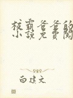 校霸爸爸的秘密小说免费阅读