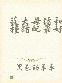 苏太母猪和什么种猪配最好