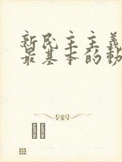 新民主主义革命最基本的动力是什么