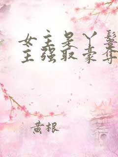 女主是丫鬟被男主强取豪夺的古言