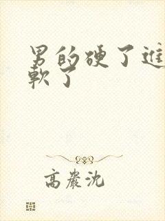 男的硬了进去又软了