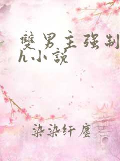 双男主强制爱高h小说